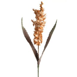 KW/FLORE/760/J.B J.BRĄZ