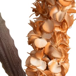 KW/FLORE/760/J.B J.BRĄZ