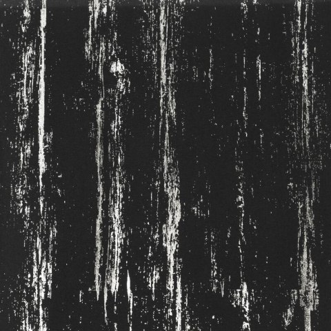 Vorhang LIBI/CZAR+SR 140X250 Ösen