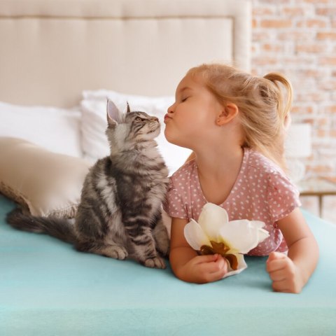 PRZE/DINA/SREB 220X210