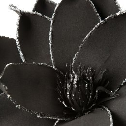 KW/FLORE/732/CZA CZAR