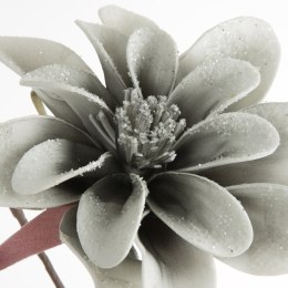 KW/FLORE/742/SRE SREB+B