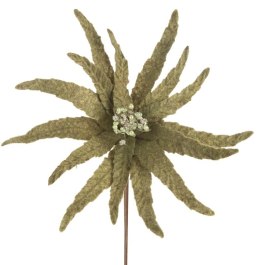 SW/KW/257 30X14 ZIEL