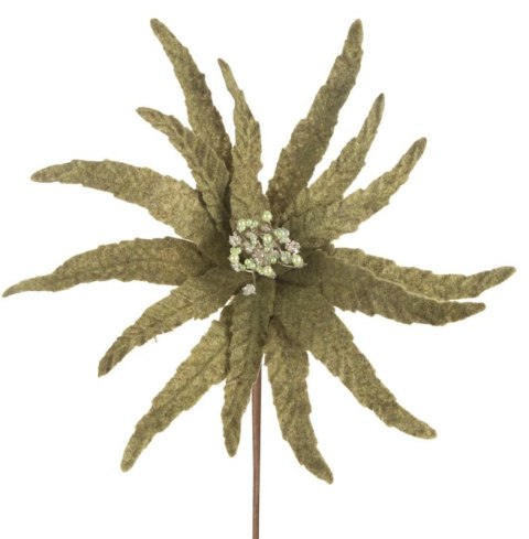 SW/KW/257 30X14 ZIEL