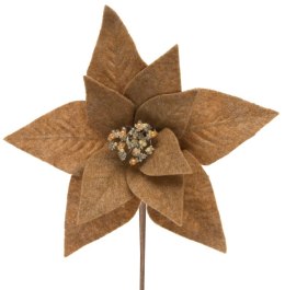 SW/KW/262 30X14 J.BR