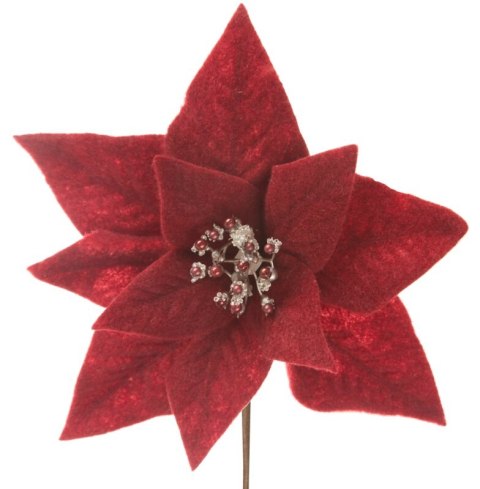 SW/KW/264 30X14 CZER