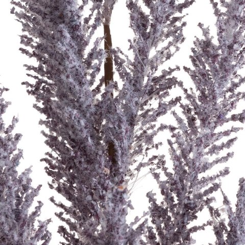 KW/NATU/399/FIOL FIOL