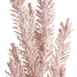 KW/NATU/399/NAT NATU