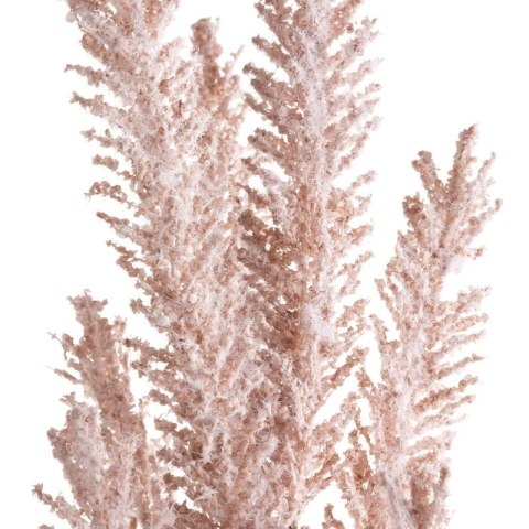 KW/NATU/399/NAT NATU