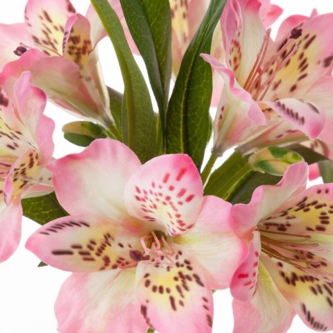 KW/NATU/385/J.R J.RÓŻO+ŻÓŁT