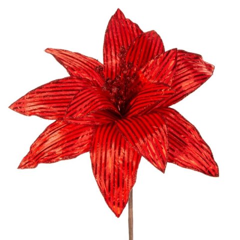 SW/KW/97A 25X15CM CZER