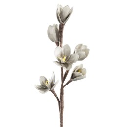 KW/FLORE/519/SRE 70X26 SREB (X6)