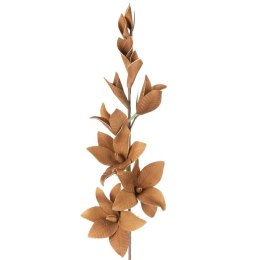 KW/FLORE/728/J.B J.BRĄ