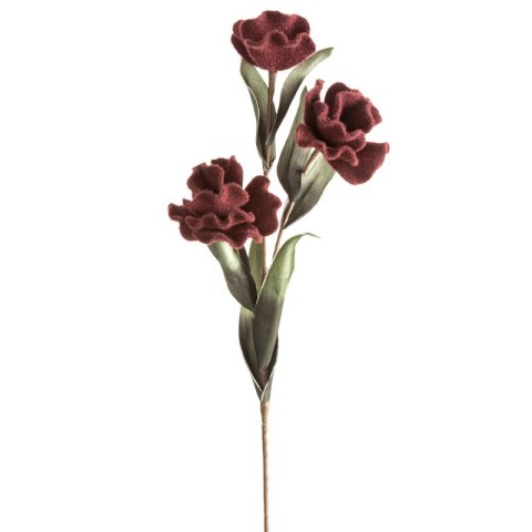 KW/FLORE/780/BOR BORD