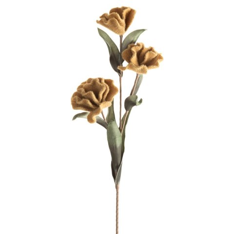 KW/FLORE/780/J.B J.BRĄZ