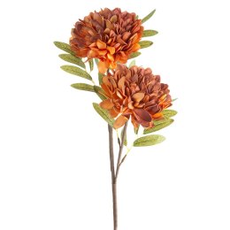 KW/FLORE/783/POM POMA+BRĄZ