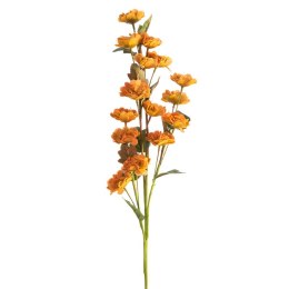 KW/FLORE/790/POM POMA+ZIEL