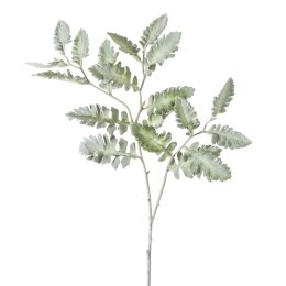 KW/NATU/133/ZIEL ZIEL