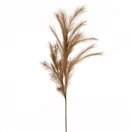 KW/NATU/459/BRĄ BRĄZ