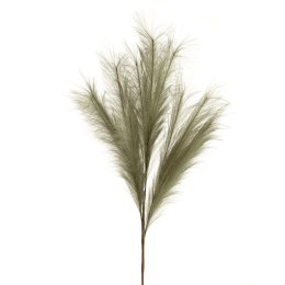 KW/NATU/460/ZIEL ZIEL