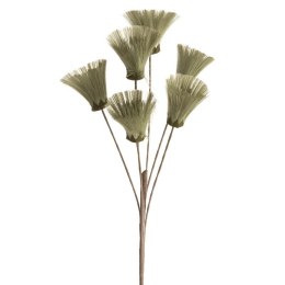 KW/NATU/461/ZIEL ZIEL