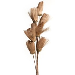 KW/NATU/462/BRĄ BRĄZ