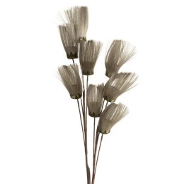 KW/NATU/462/POP POPI