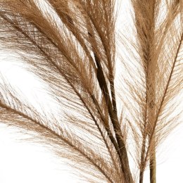 KW/NATU/459/BRĄ BRĄZ