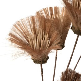 KW/NATU/461/BRĄZ BRĄZ