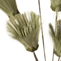 KW/NATU/461/ZIEL ZIEL