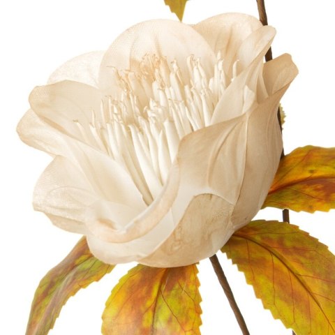 KW/NATU/463/K K+ZIEL