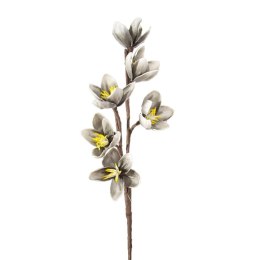 KW/FLORE/519/SRE 70X26 SREB (X6)