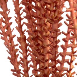 KW/FLORE/786/CEG CEG