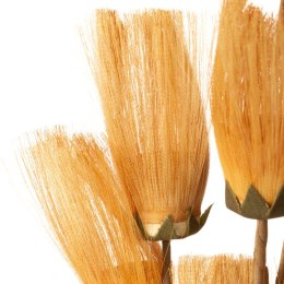 KW/NATU/462/POMA POMA