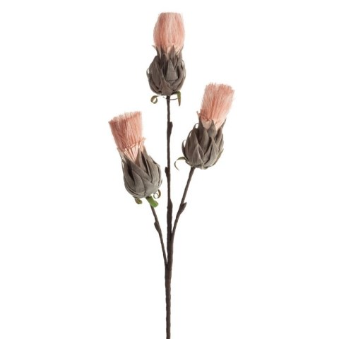 KW/FLORE/782/RÓŻ RÓŻO+POPI