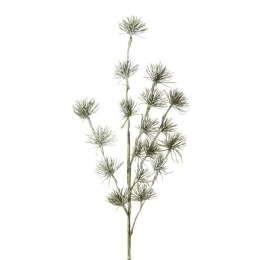 KW/NATU/141/ZIEL ZIEL