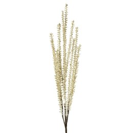 KW/NATU/142/ŻÓŁ ŻÓŁT