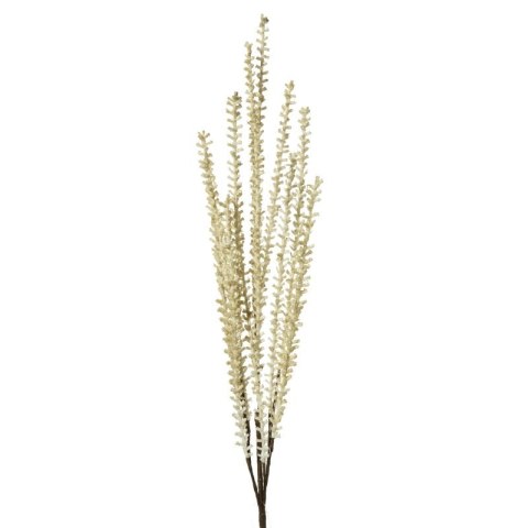 KW/NATU/142/ŻÓŁ ŻÓŁT