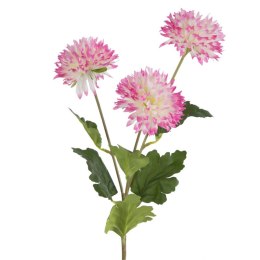 KW/NATU/431/AMAR AMAR+K