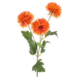 KW/NATU/431/POM POMA