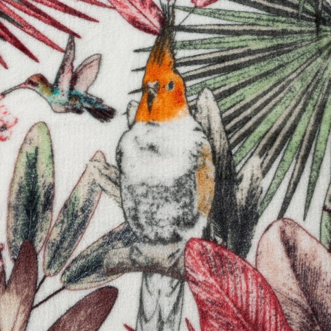 D91/K/PARROT 150X200 ZIEL+RÓŻ