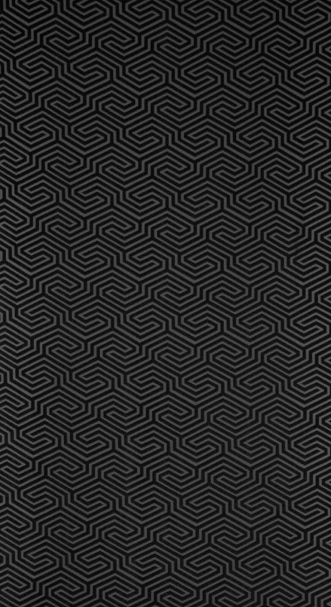 PIER/Vorhang INGA 140X250 Ösen CZAR