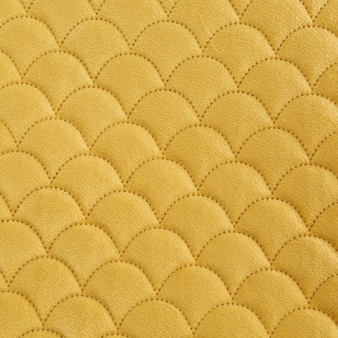 CHON/ARIEL/MUSZT 70X160 MUSZTA