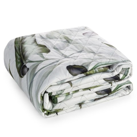 D91 N ELLEN 170X210 B+OLI