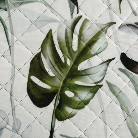 D91 N ELLEN 220X240 B+OLI