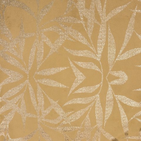 CHO/BLINK/15/MIO 35X180 MIOD/VELVET