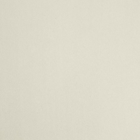 Vorhang ANTARA/K 140X300 T+TROCZ