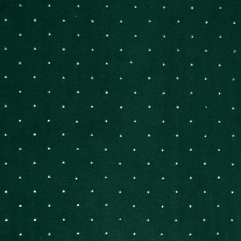 Vorhang ARIADNA/C.ZI 140X250 Ösen