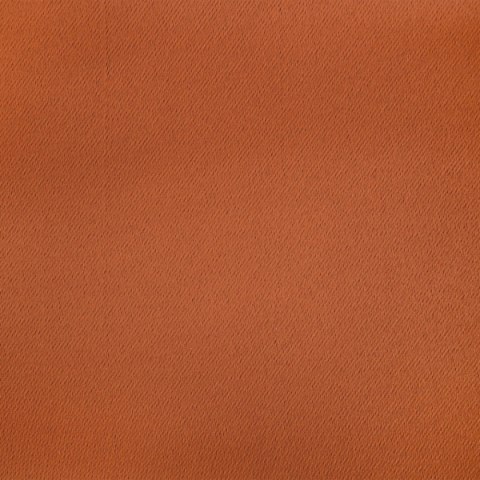 Vorhang BLACKOUT/CEG 135X250 PRZEL