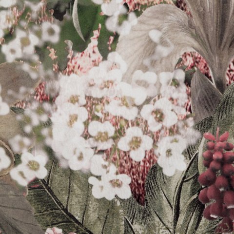 Vorhang GLORY/ZI+RÓŻ 140X270 T/SZEL